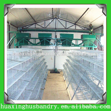 Hot dip galvanized 6 tiers manufacturers quail cage price